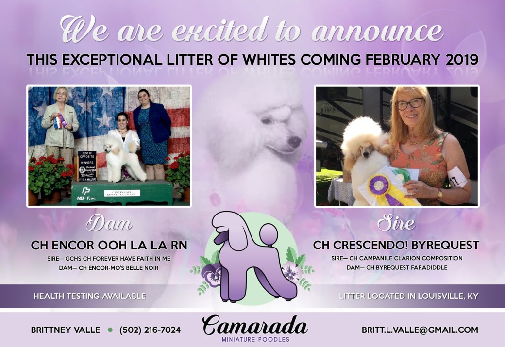 Polar Vortex litter announcement.jpg